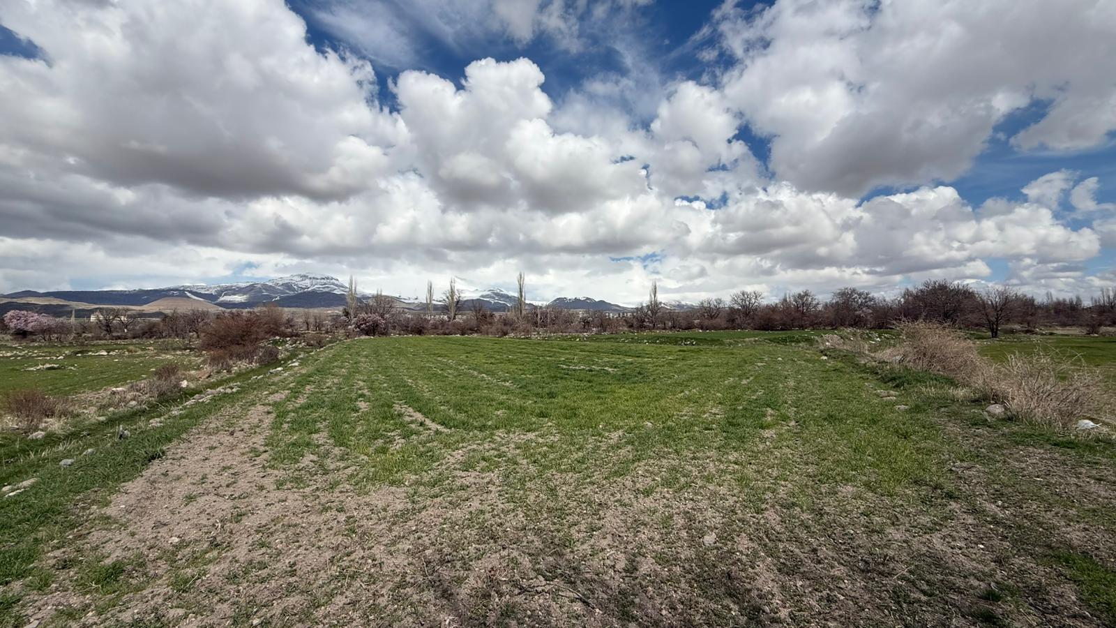 KAYSERİ DEVELİ REŞADİYE MAHALLESİ KARABAŞ MEVKİİNDE SATILIK BAĞ YERİ